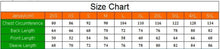 Women's Long-Sleeve Miloto Cycling Jersey (Race)